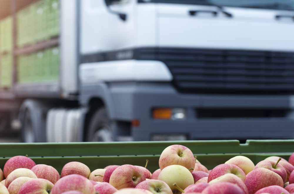 Truck carrying apples
