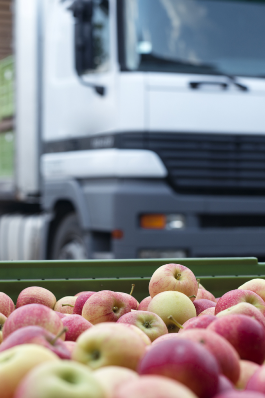 Truck carrying apples