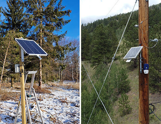 Image of sensors on poles in the snow and forest