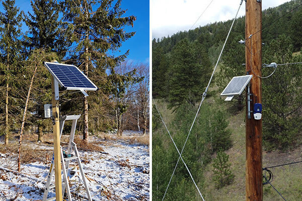 Image of sensors on poles in the snow and forest