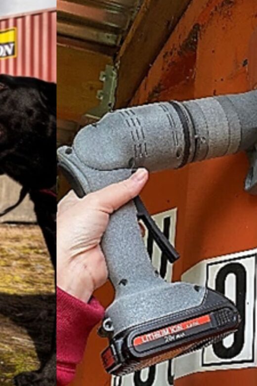 Illustration-Dog and woman image next to images of a tool protruding from a shipping container