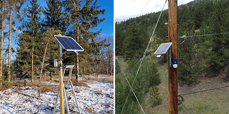 Image of sensors on poles in the snow and forest