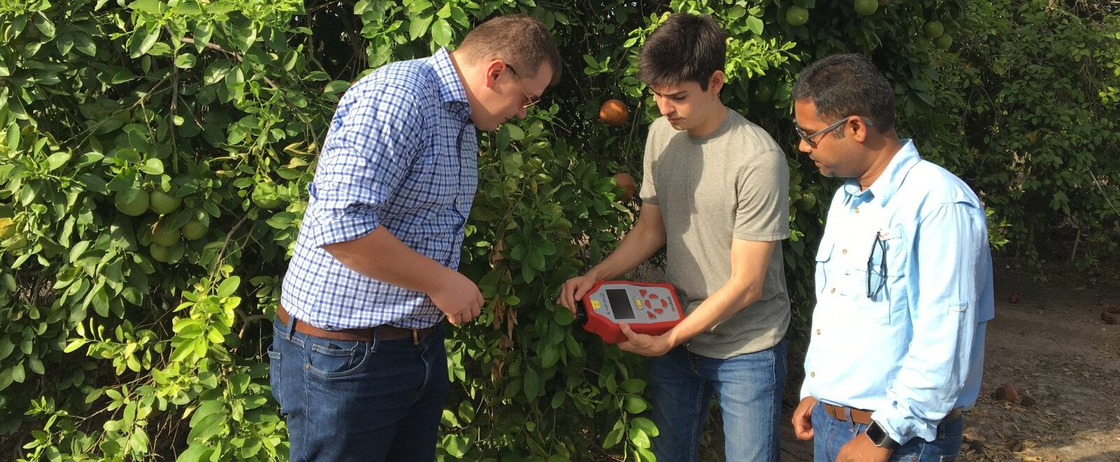 Two students in an orange field operate a handheld digital device as a professor standing to the right of the students supervises their work.